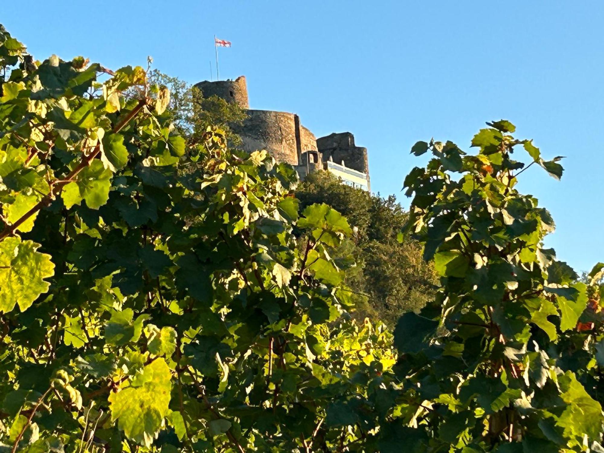 Kalverkamp Ferienwohnung Lieser Esterno foto