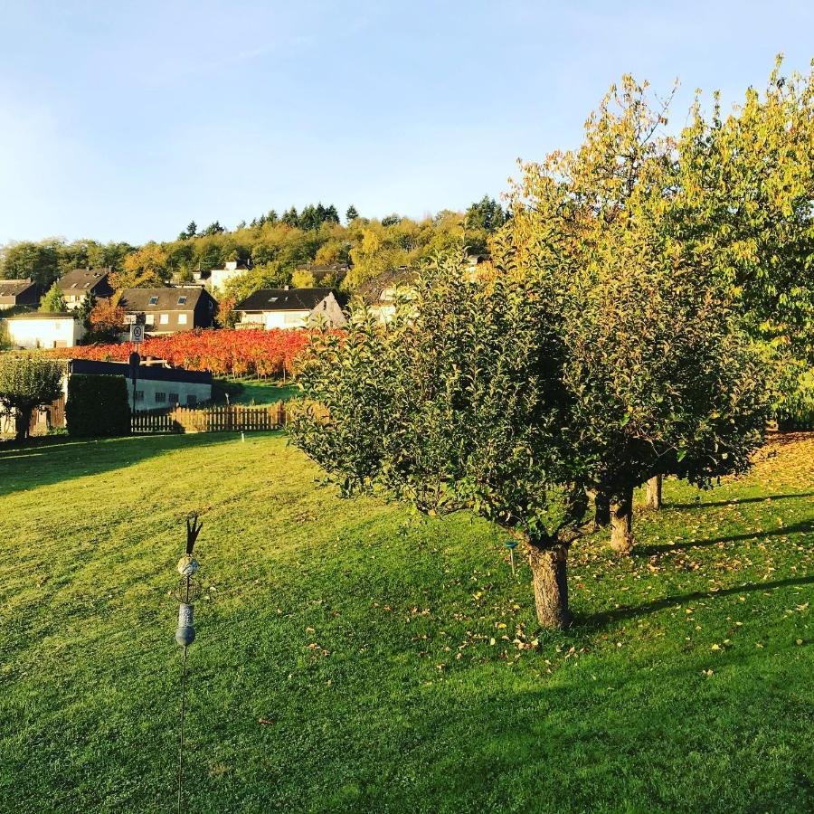 Kalverkamp Ferienwohnung Lieser Esterno foto